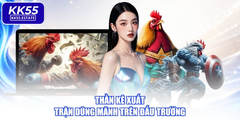 Thần kê xuất trận dũng mãnh trên đấu trường